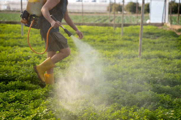 Best Affordable Pest Control Services  in Dillsburg, PA