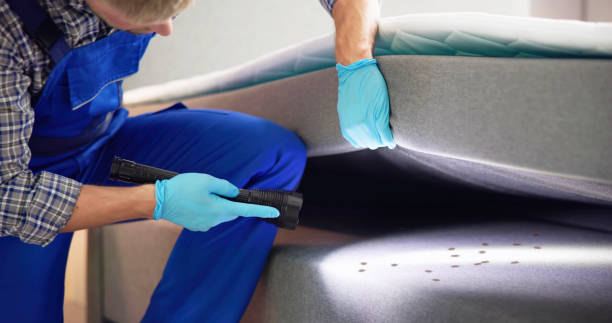 Best Pest Control Near Me  in Dillsburg, PA