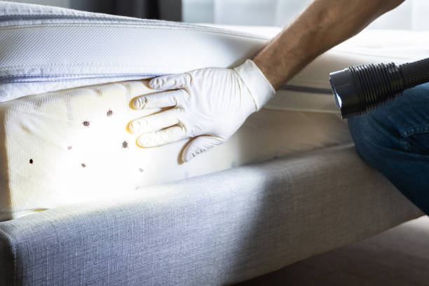 Best Pest Control for Businesses  in Dillsburg, PA