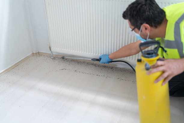 Best Pest Inspection Near Me  in Dillsburg, PA
