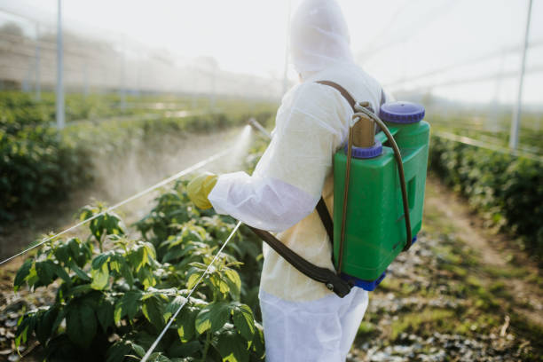 Best Pest Control Treatment  in Dillsburg, PA
